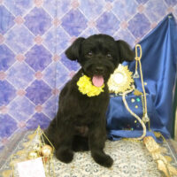 【山手店】2022年5月9日のワンちゃん達♪