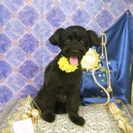 【山手店】2022年5月9日のワンちゃん達♪