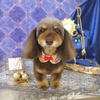 【山手店】2022年5月12日のワンちゃん達♪