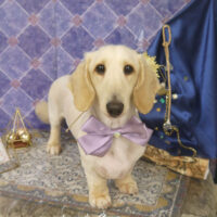 【山手店】2022年5月14日のワンちゃん達♪