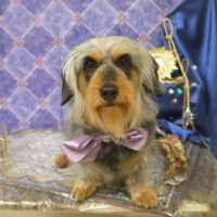 【山手店】2022年5月16日のワンちゃん達♪