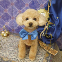 【山手店】2022年5月20日のワンちゃん達♪