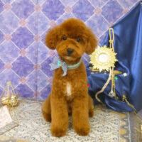 【山手店】2022年5月21日のワンちゃん達♪