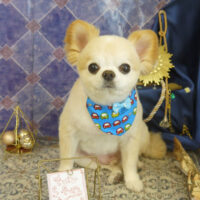 【山手店】2022年5月22日のワンちゃん達♪