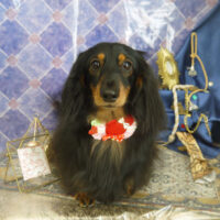 【山手店】2022年5月23日のワンちゃん達♪