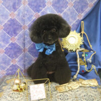 【山手店】2022年5月25日のワンちゃん達♪