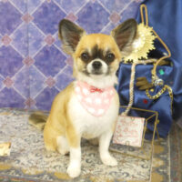 【山手店】2022年5月26日のワンちゃん達♪