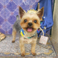 【山手店】2022年5月28日のワンちゃん達♪