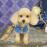 【山手店】2022年5月29日のワンちゃん達♪