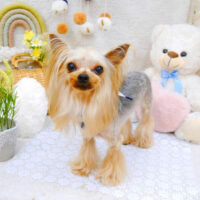 【池下店】2022年5月13日のワンちゃん達♪