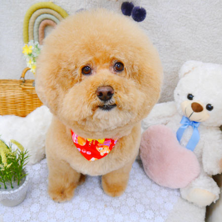 【池下店】2022年5月20日のワンちゃん達♪