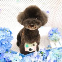 【池下店】2022年6月4日のワンちゃん達♪