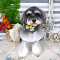 【山手店】2022年7月28日のワンちゃん達♪