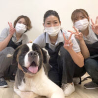 【本店】2022年8月1日のワンちゃん達♪