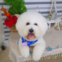 【山手店】2022年8月7日のワンちゃん達♪