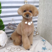 【山手店】2022年8月18日のワンちゃん達♪