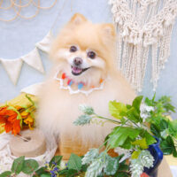 【池下店】2022年8月21日のワンちゃん達♪