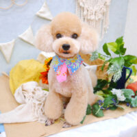 【池下店】2022年8月22日のワンちゃん達♪