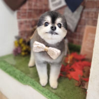 【本店】2022年9月15日のワンちゃん達♪