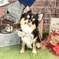 【本店】2022年9月30日のワンちゃん達♪