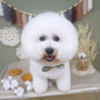 【山手店】2022年9月5日のワンちゃん達♪