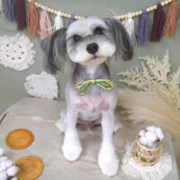 【山手店】2022年9月15日のワンちゃん達♪