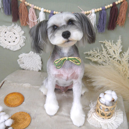 【山手店】2022年9月15日のワンちゃん達♪