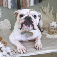 【山手店】2022年9月16日のワンちゃん達♪