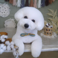 【山手店】2022年9月18日のワンちゃん達♪