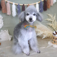 【山手店】2022年9月19日のワンちゃん達♪