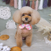 【山手店】2022年9月23日のワンちゃん達♪