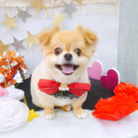 【池下店】2022年9月4日のワンちゃん達♪