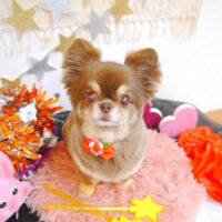 【池下店】2022年9月16日のワンちゃん達♪