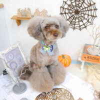 【池下店】2022年9月29日のワンちゃん達♪