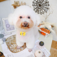 【池下店】2022年9月30日のワンちゃん達♪