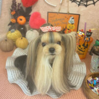 【本店】2022年10月24日のワンちゃん達♪