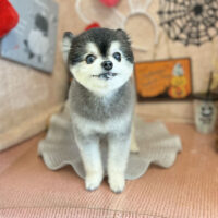 【本店】2022年10月16日のワンちゃん達♪