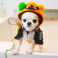 【山手店】2022年10月30日のワンちゃん達♪