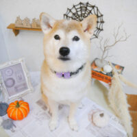 【池下店】2022年10月6日のワンちゃん達♪