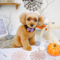 【池下店】2022年10月10日のワンちゃん達♪