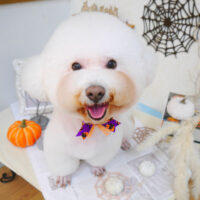 【池下店】2022年10月28日のワンちゃん達♪