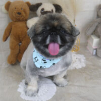 【山手店】2022年11月3日のワンちゃん達♪