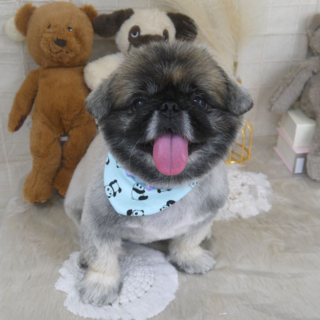 【山手店】2022年11月3日のワンちゃん達♪