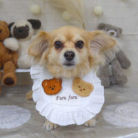 【山手店】2022年11月5日のワンちゃん達♪