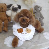 【山手店】2022年11月6日のワンちゃん達♪