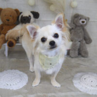 【山手店】2022年11月7日のワンちゃん達♪