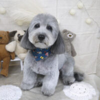 【山手店】2022年11月12日のワンちゃん達♪