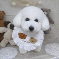 【山手店】2022年11月13日のワンちゃん達♪