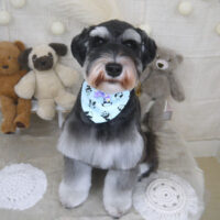 【山手店】2022年11月14日のワンちゃん達♪