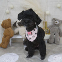 【山手店】2022年11月18日のワンちゃん達♪